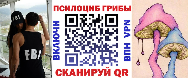 купить наркоту  Шарья  Псилоцибиновые грибы Psilocybe 