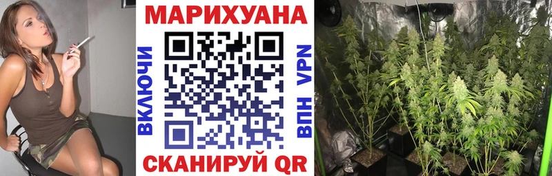 закладка  Шарья  Канабис план 